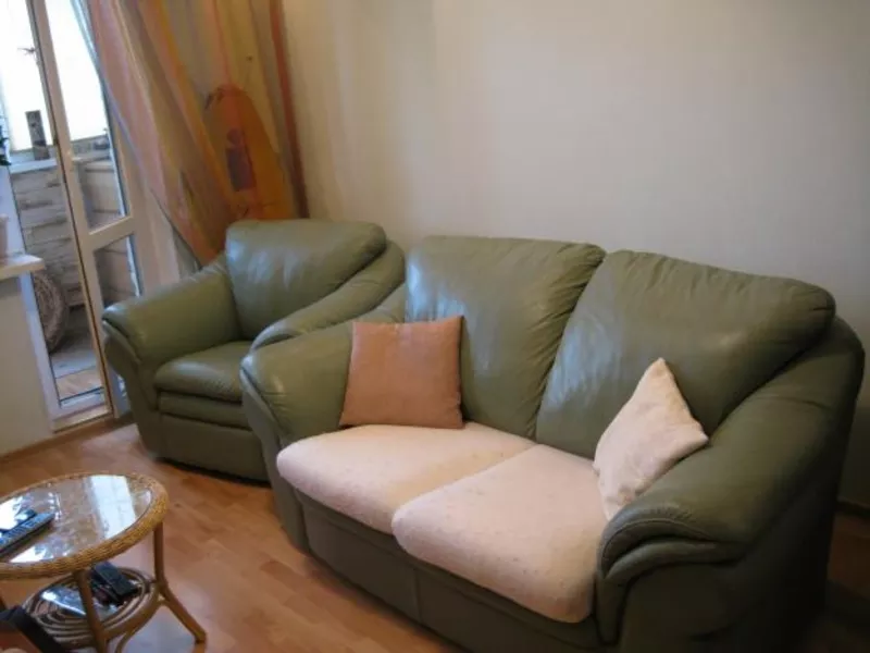 Кожаные диван и кресло (цвет 